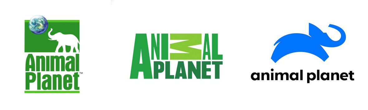 Rebranding: Vuelve el elefante al logo de Animal Planet. – Iconograma